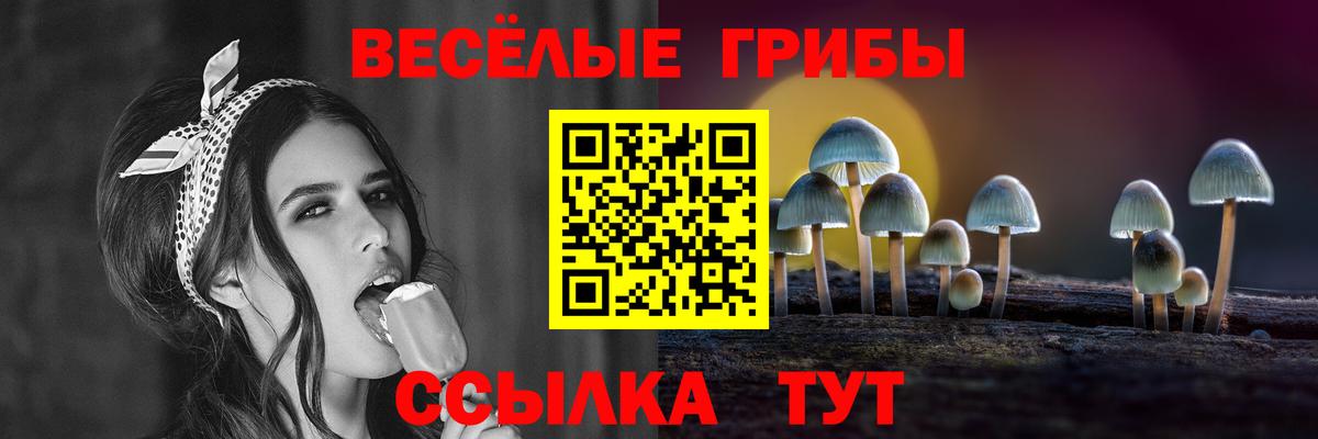 Галлюциногенные грибы мицелий Топки